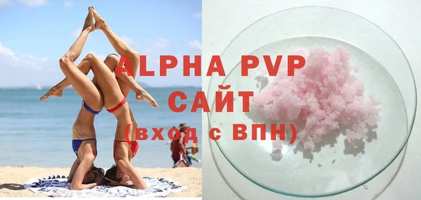 индика Абаза