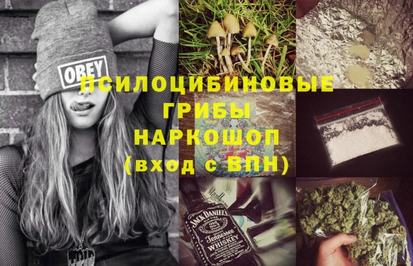 тгк Алзамай