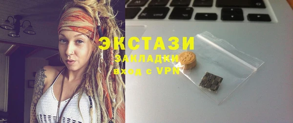 индика Абаза
