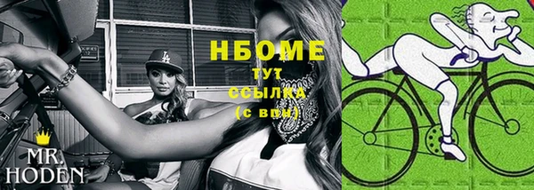 индика Абаза