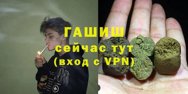 индика Абаза