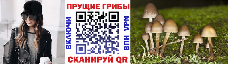Галлюциногенные грибы GOLDEN TEACHER  Донской 