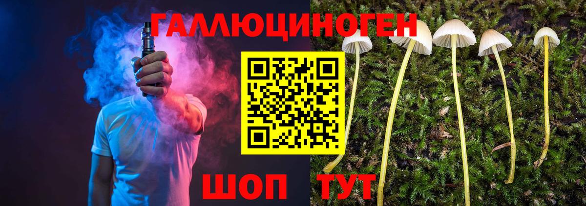 купить наркотик  Галлюциногенные грибы Psilocybe  Вход с VPN  Донской 
